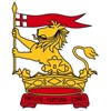 UGA Flag